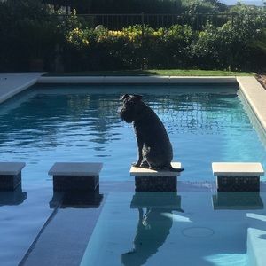 Meet your Posher, Todd